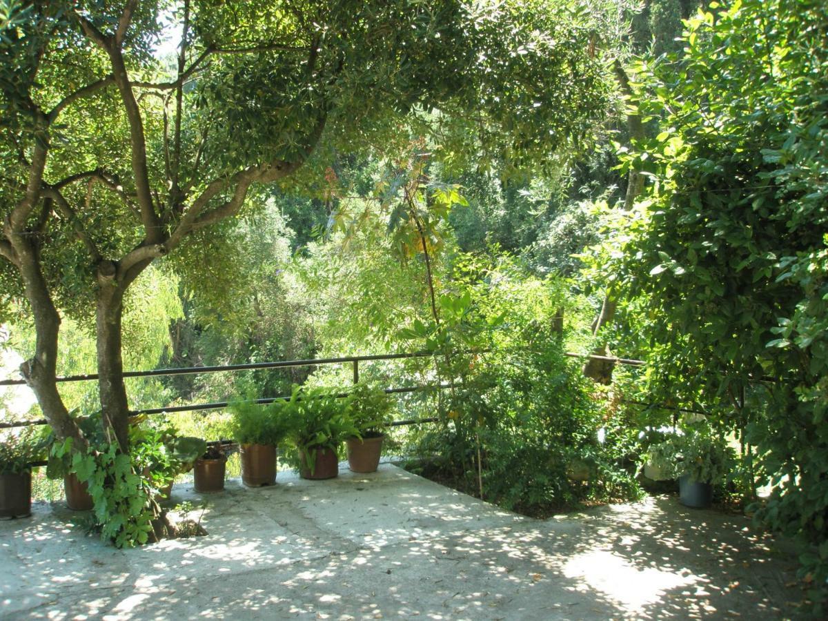 בניטסס Faliraki Apartments מראה חיצוני תמונה
