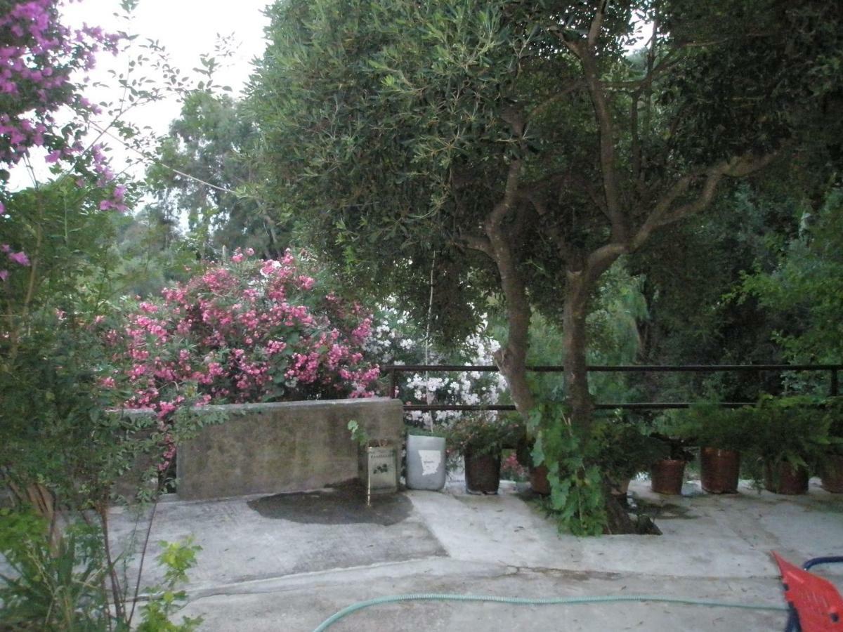 בניטסס Faliraki Apartments מראה חיצוני תמונה
