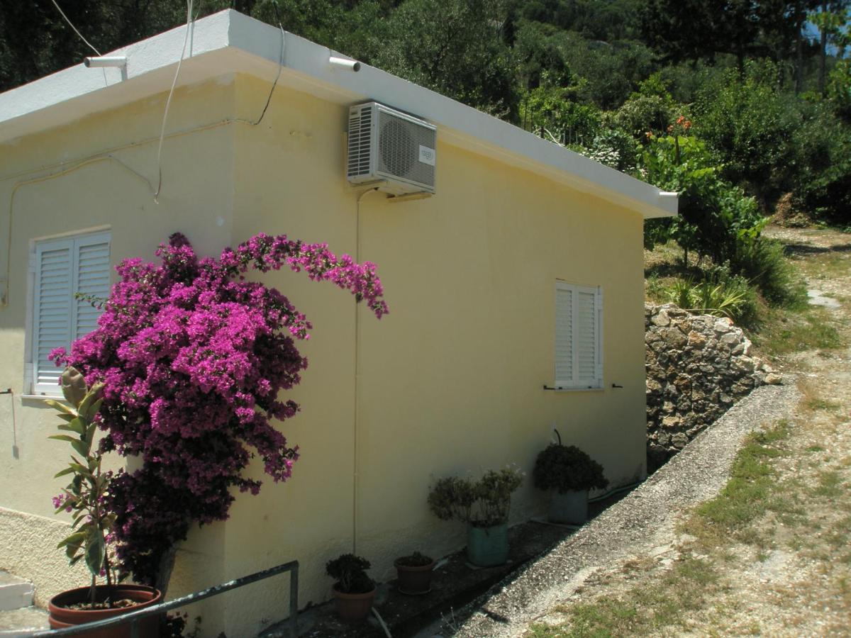 בניטסס Faliraki Apartments מראה חיצוני תמונה