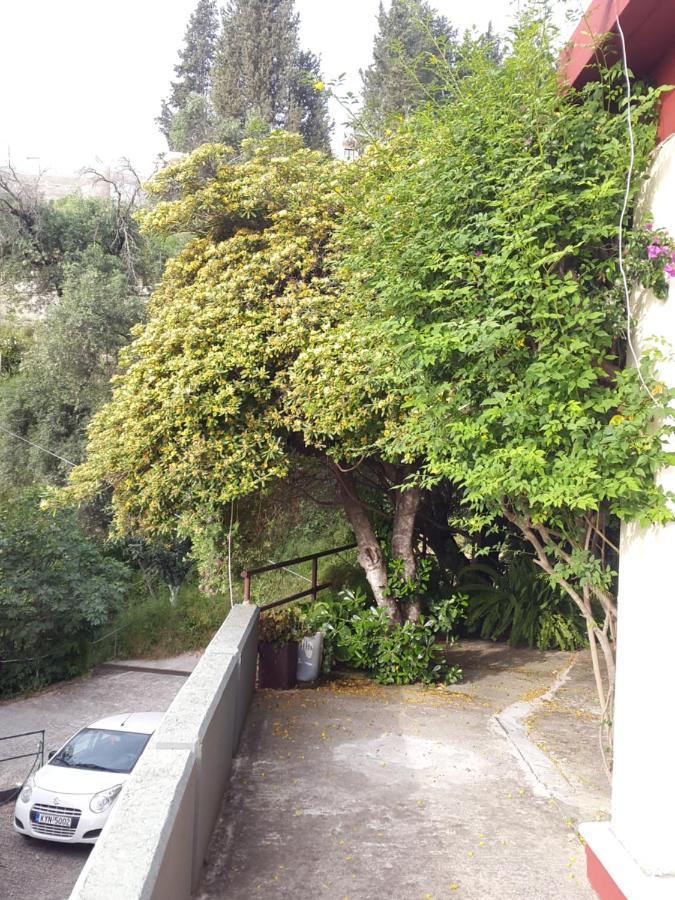 בניטסס Faliraki Apartments מראה חיצוני תמונה